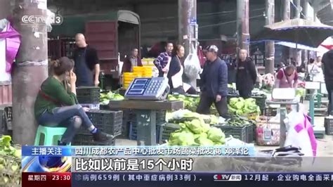 小青菜都要4元/斤了！大雪是停了，但蔬菜涨价了 - 周到上海
