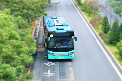8月21日起 郑州公交新增19条线路恢复全线运营凤凰网河南_凤凰网