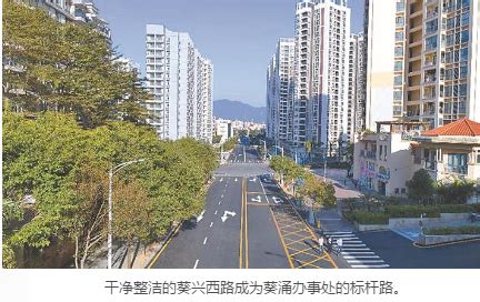 “图说”葵涌40年变化：这些老照片，你见过吗？|葵涌|梁建生|金葵_新浪新闻