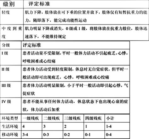 肢体残疾分级标准 - 快懂百科