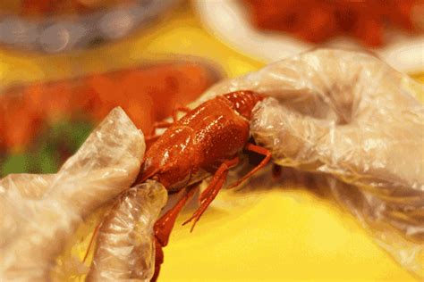 如何吃小龙虾 ，记住这4点 | 说明书网
