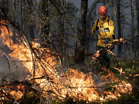 俄克拉斯诺亚尔斯克边疆区森林火灾面积超过1000公顷 - 2022年5月9日, 俄罗斯卫星通讯社