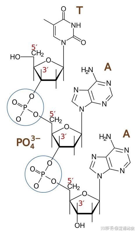高中化学A14-化学键与分子间作用力 - 知乎