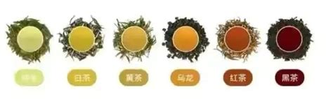 茶知识：中国六大茶类是指哪六大茶类？六大茶类划分标准是什么？ | 爱茶叙茶叶商城-爱茶叙私房茶官网