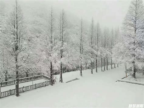 《伫立风雪中》 -HPA湖南摄影网