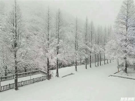开始下雪了图片