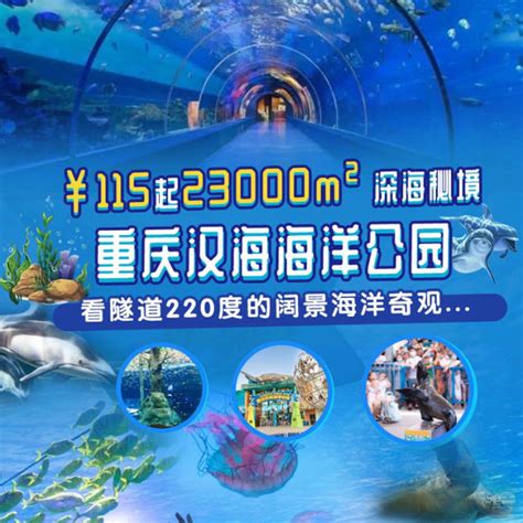 2024武汉海昌极地海洋公园门票价格及包含项目（附游玩攻略）|武汉海昌极地海洋公园|武汉海洋馆|武汉海洋乐园-墙根网