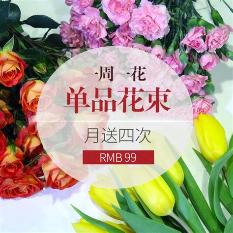 鲜花包月单品花束周期购套餐一周一花家庭订阅同城速递杭州上海_慢享旅行