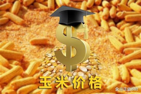 上半年玉米价格走高 2021年中国玉米供需形势分析__财经头条