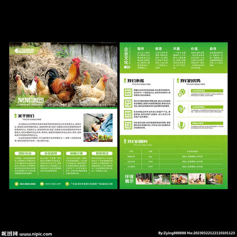 农家乐宣传单设计图__海报设计_广告设计_设计图库_昵图网nipic.com