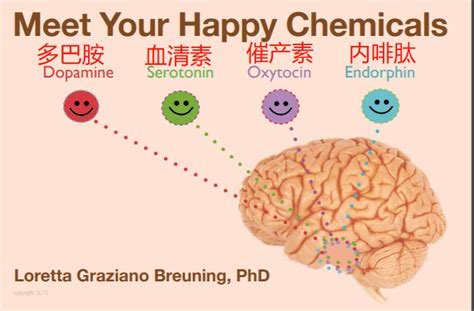 4种快乐激素：能让你爽，让你上瘾，让你开心_大脑