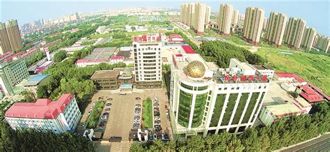 十年振兴看龙江丨黑龙江省农业科学院 为“压舱石” 提供强有力科技支撑