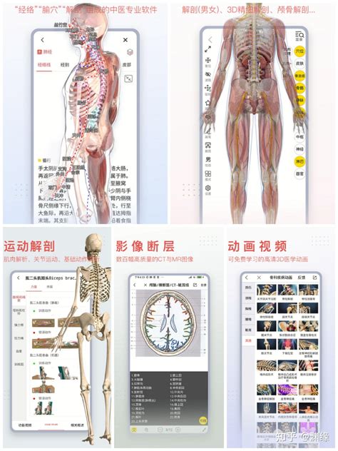 3dbody人体解剖学app下载-3dbody三维免费人体解剖软件下载v8.6.12 官方安卓版-绿色资源网