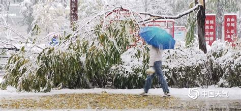 榆中县出现今年首场暴雪天气-高清图集-中国天气网甘肃站