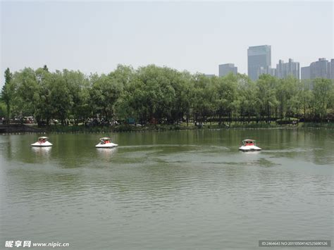 上海 世纪公园夜开放指南- 上海本地宝