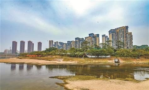 标本兼治 建管并重 深圳市观澜河全流域重现水清岸绿-国际环保在线