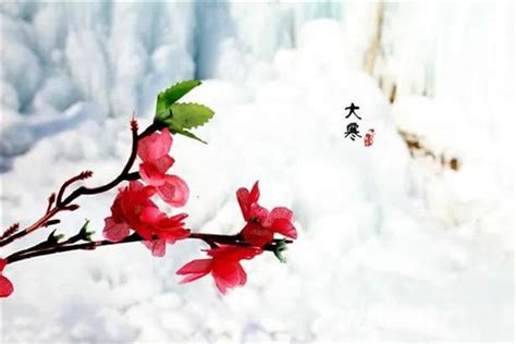北国三月，春寒料峭。冰凌花冲破冻土冷雪，在凛冽的寒风中悄然开放