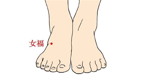 以穴宠弟图片