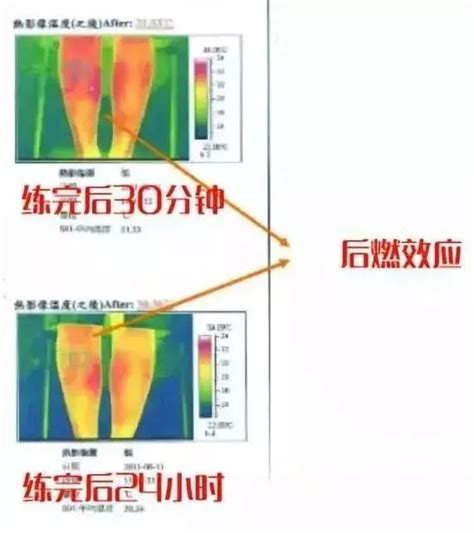 芭蕾塑形操：轻盈气质，从此刻开始｜文艺学堂