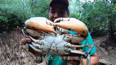 大自然生物的进化方式之蟹化，我们爱吃的螃蟹是如何进化而来_尾巴_过程_甲壳