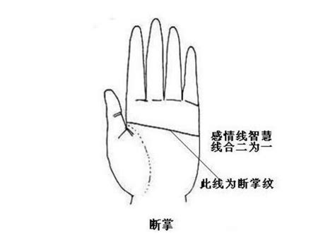 男人右手断掌代表什么,断掌纹是什么意思？_2345实用查询