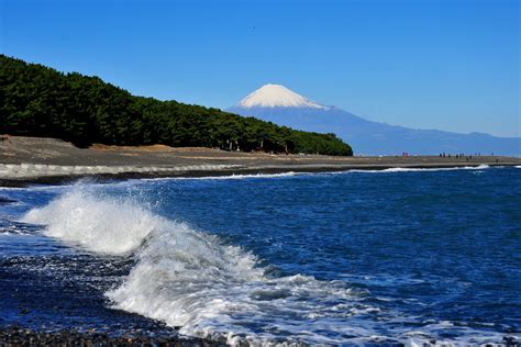 美しの三保の松原と富士山。 - 写真ブログ・ずバッと「今日の1枚」。