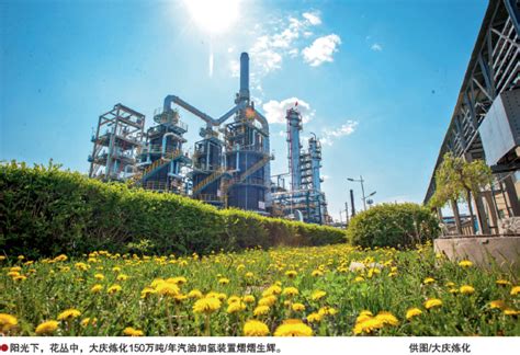 大庆石化跨入千万吨级炼化一体化企业行列 - 化工 - 中国产业经济信息网