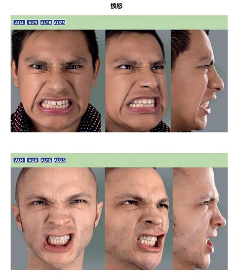 表情绘画：愤怒、生气练习篇-普画网