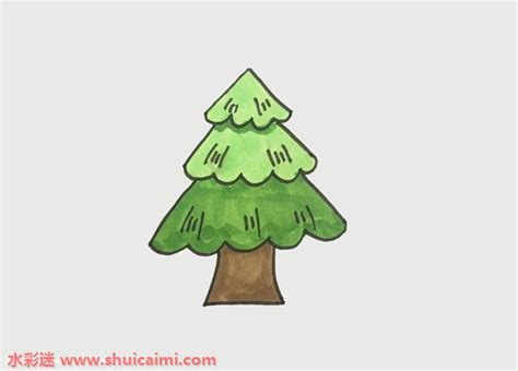 简单松树怎么画 松树的画法简笔画图片 - 巧巧简笔画