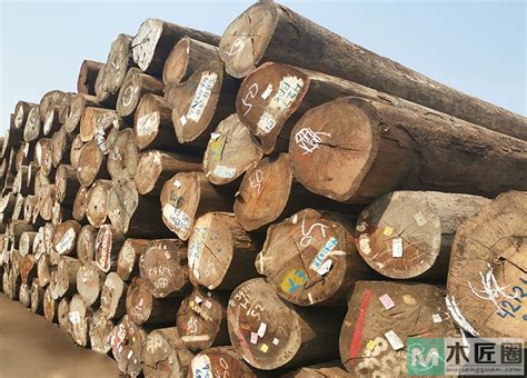 木材进口报关所需资料及流程指南-「鹏通供应链」