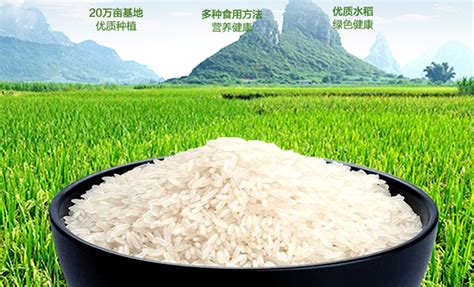 花中花东北珍珠米5kg 真空包装 东北大米农产品三江平原生态大米-阿里巴巴