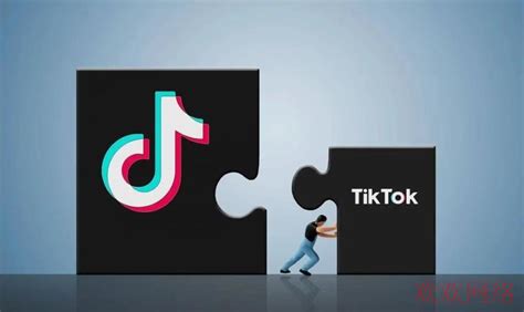 如何做出爆款 TikTok 营销视频？破解 TikTok 算法是关键！_石南学习网