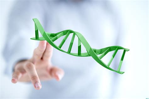 基因突变是如何发生的-遗传病生育网