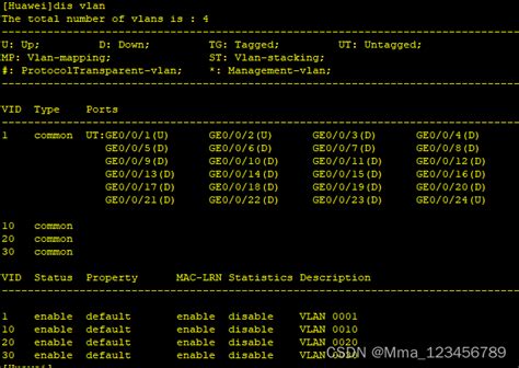eNSP仿真软件之VLAN基础配置及Access接口_51CTO博客_ensp vlan配置实验