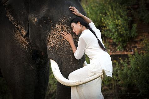 小象和大象的故事图片,大象和小象的故事作文,大象和小象的励志故事_大山谷图库