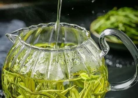 绿茶是指什么样的人?绿茶语录，绿茶女特征，绿茶男行为_小狼观天下