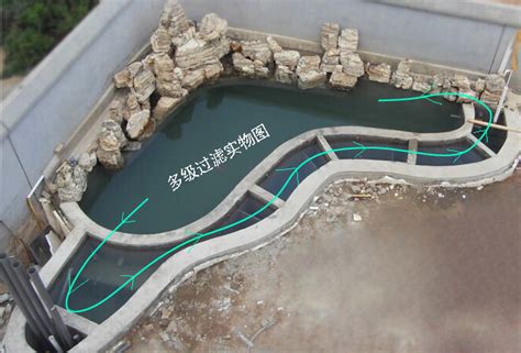 家用鱼池得建造,新型养鱼池的建设,农家小院自建小鱼池_大山谷图库
