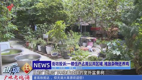 街坊投诉：一楼住户占用公共区域 堆放杂物还养鸡-DV现场-荔枝网