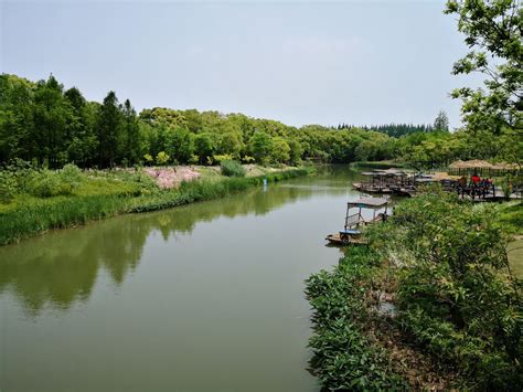 2023长兴岛郊野公园游玩攻略,长兴岛郊野公园位于上海市崇...【去哪儿攻略】