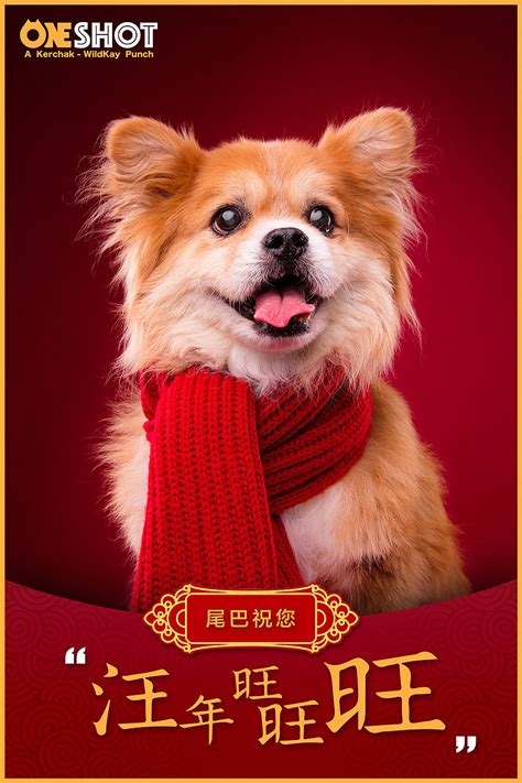新年狗的照片高清图片下载-正版图片500752553-摄图网