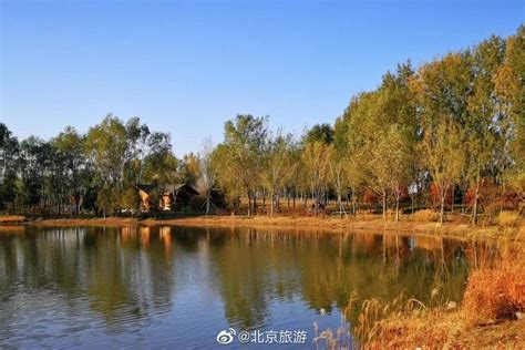 东郊森林公园：北京城区最大的森林公园