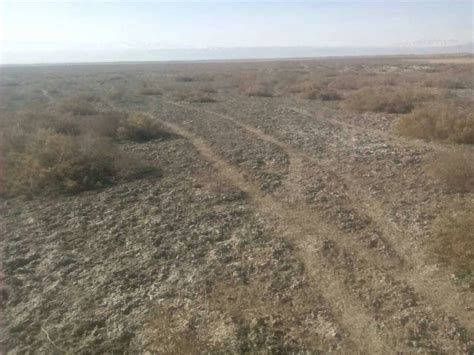 新疆伊犁州新源县13000亩旱地出租- 聚土网