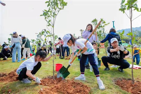 呼吸鲜氧 种植希望，2021年公益植树节顺利举行_深圳新闻网