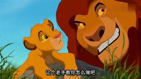 狮子王：高孚竟拦着自己的母亲，不让她杀父亲刀疤的仇人辛巴_少儿_动画片大全_腾讯视频