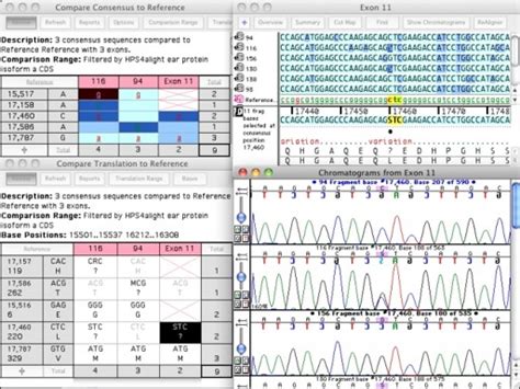 SnapGene视频教程：教您一款功能强大的DNA序列编辑及分析软件 - 国内聚焦 - 资讯 - 生物在线