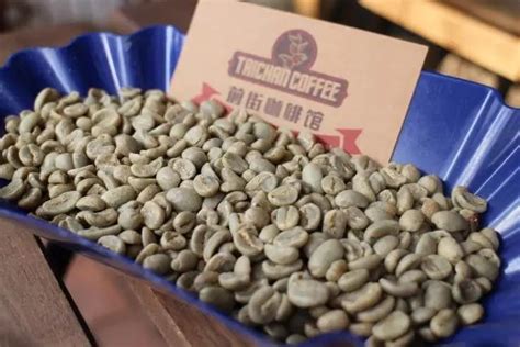 全国十大咖啡豆产国盘点 全球最好咖啡豆正宗蓝山咖啡豆风味描述 中国咖啡网