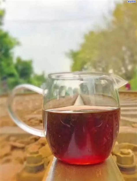 普洱茶的保存度-普洱茶的保存度和湿度_普洱茶百科_邮箱网