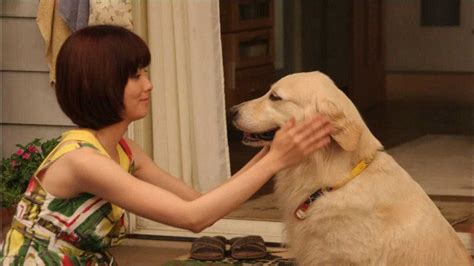 《狗狗与我的10个约定》让人泪目的电影，狗狗为主人耗尽自己一生_腾讯视频