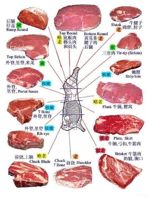 牛肉图解部位名称图片