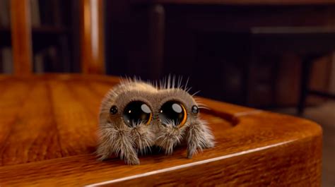 小蜘蛛卢卡斯：非凡的蜜蜂梅齐和她的舞蹈-少儿趣配音